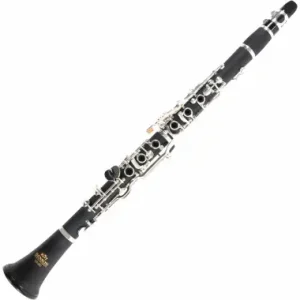 Occasione Imperdibile Clarinetto Roy Benson CG-220