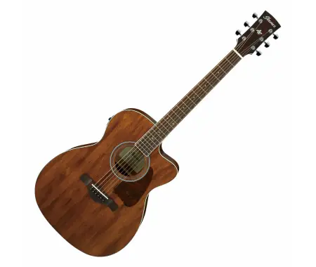 Ibanez AC340CE-OPN Open Pore Natural Esclusivo