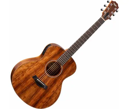 Soddisfatti O Rimborsati Taylor GS Mini-e Koa