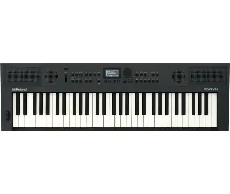 Prezzo Di Fabbrica Roland Go Keys 5 Graphite