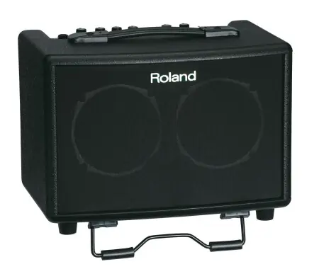 Roland AC-33 Amplificatore Acustico Stereo A Batterie Prezzo Conveniente