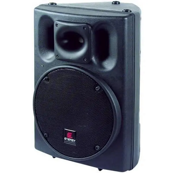 Energy 12EP250PWD cassa attiva 250W Pagamento Sicuro