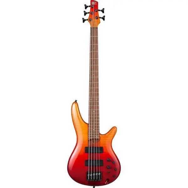 Compra Adesso Ibanez SR875-ALG - basso elettrico 5 corde - pickup Bartolini - Autumn Leaf Gradation