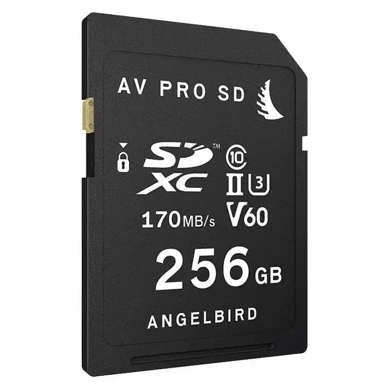 Occasione Imperdibile Angelbird SD card Mark II V60 da 256GB